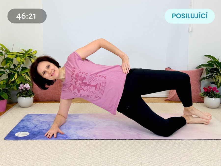 Pevnost a síla hýždí