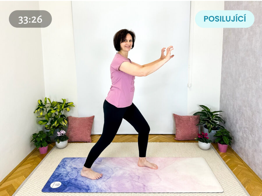 Síla a vytrvalost tygra